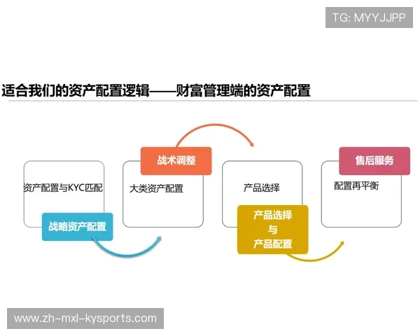 德甲球队股权结构与管理分析